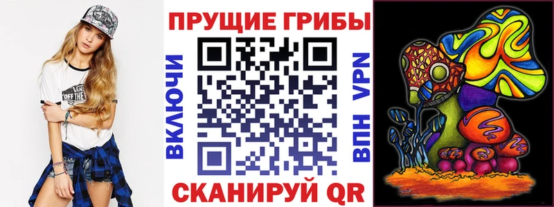 купить наркотик  Змеиногорск  Галлюциногенные грибы GOLDEN TEACHER 